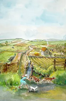 Arable: Rural landscape