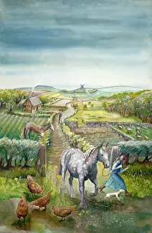 Arable: Rural landscape