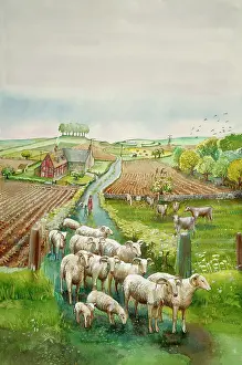 Arable: Rural landscape