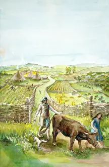 Arable: Rural landscape