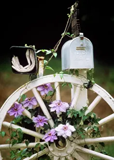 Networking: Rural Mailbox and Newspaper Delivery Box with Pink Clematis