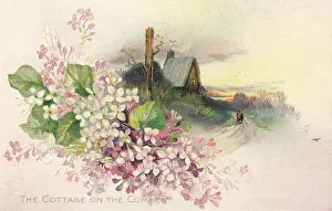 Mittie: Rural Scene