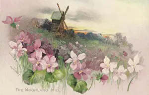 Mittie: Rural Scene