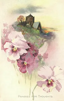 Mittie: Rural Scene