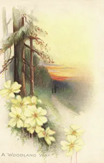 Mittie: Rural Scene