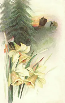 Mittie: Rural Scene