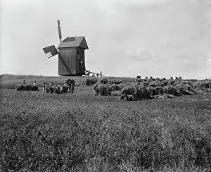 Windmill: Rural scene of an agricultural field with windmill