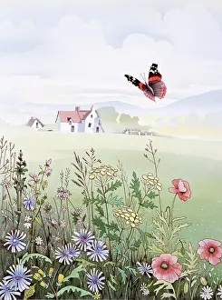 Malcolm Greensmith Collection: Rural scene with flowers and butterfly
