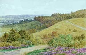 Hindhead: Rural scene, Hindhead, Surrey