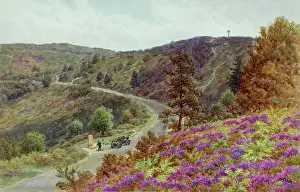 Hindhead: Rural scene, Hindhead, Surrey