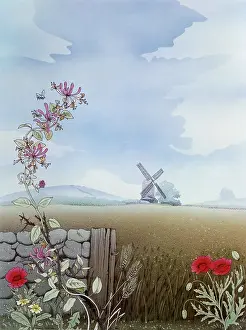 Malcolm Greensmith Collection: Rural scene with honeysuckle and poppies