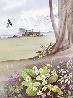 Clump: Rural scene with primroses