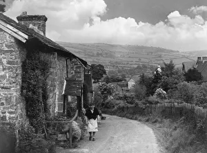Radnorshire: RURAL SCENE/RADNORSHIRE
