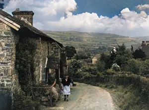 Barnaby (colourised): RURAL SCENE/RADNORSHIRE