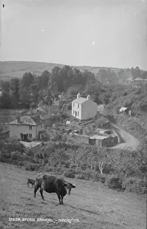 Stoke: Rural Scene in Stoke Gabriel