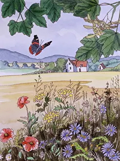 Arable: Rural scenery with wildflowers