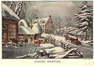 Barnyard: Rural Winter Morning
