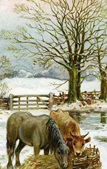 Nister: Rural winter scene