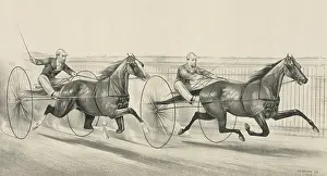 C1884: A rush for the heat