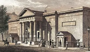 Coram: RUSSELL INSTITUTION