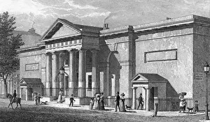 Bloomsbury: RUSSELL INSTITUTION