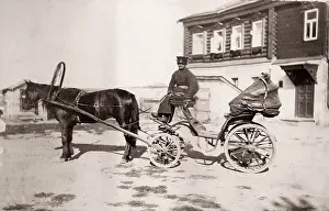 Ponies: Russia - hackney pony and trap