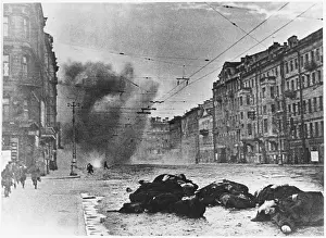 Shelled: RUSSIA, NEVSKY SHELLED