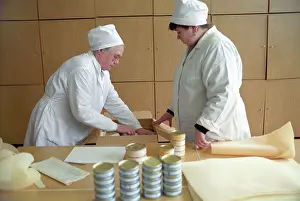 Responsible: Russian Academy of Agricultural Sciences Biryulyovsky