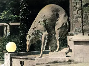 Barnaby (colourised): RUSSIAN BORZOI STATUE