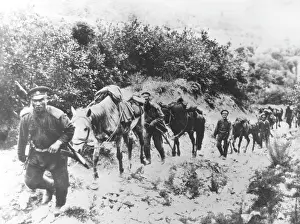 Understanding: Russian Cavalry Reconnaissance, 1904