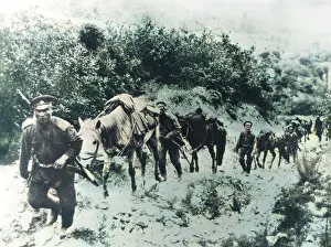 Understanding: Russian Cavalry Reconnaissance, 1904