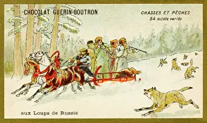 Guerin: Russian hunters shoot at wolves