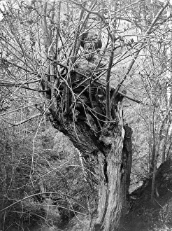 Recon: Russian observation post, 1915