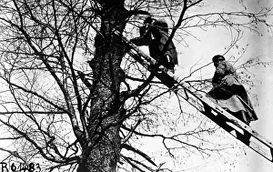 Brushwood: Russian observation post in the First World War