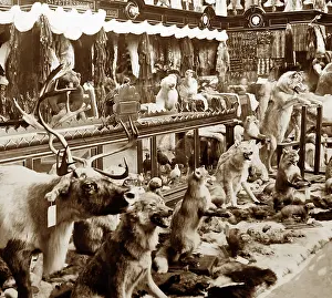 Taxidermy: Russian Pavilion, Exposition Universelle, Paris, 1889
