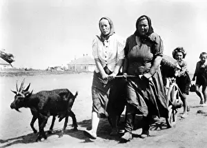 Donetz: Russian people flee fore fighting on the Eastern Front, 1942
