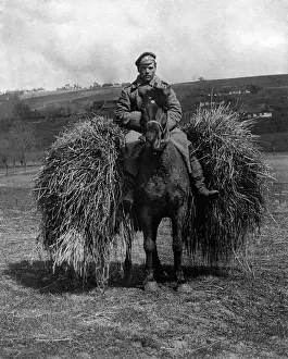 Bundles: Russian picket on horseback, 1915