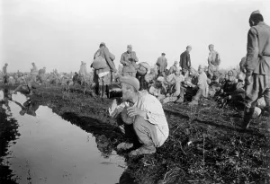 Sowjetunion: Russian prisoners of war, 1942