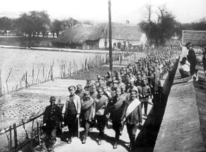 Bukovina: Russian prisoners of war in the First World War, 1915