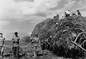 Dimitriew: Russian self-defense against partisans, 1942