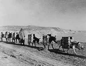 Khaldei: Russian soldier with a pack train of donkeys during