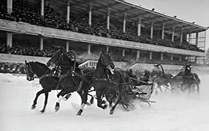 Stables: Russian troika competitions