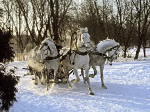 Troika: Russian troikas, 1973