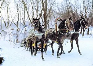 Troika: Russian troikas, 1973
