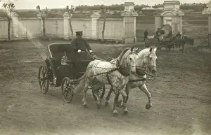 Dappled: Russian two-horse open carriage