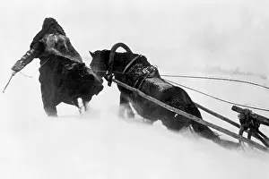 Sleds: In the Russian winter German soldiers can often only