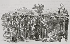 Plum: Russo-Turkish War (1877-1878). Distribution of
