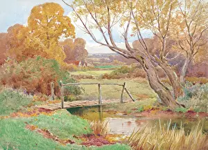 Stannard: The Rustic Bridge