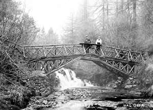 Glenariff: Rustic Bridge, Glenariff