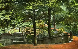 Dene: Rustic Bridge, Jesmond Dene, County Durham